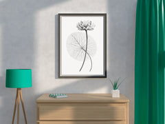 Vintage Lotus Black & White Wall Art