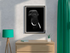 African Bush Elephant Black & White Wall Art