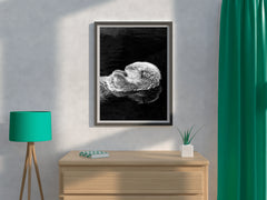 Sea Otter Black & White Wall Art