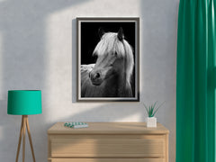 Icelandic Horse Black & White Wall Art