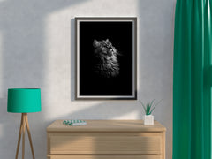 Maine Coon Cat Black & White Wall Art