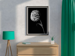 Dahlia Black & White Wall Art