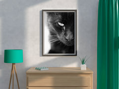 Static Eyes Cat Black & White Wall Art