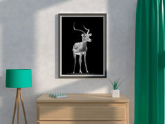 Impala Black & White Wall Art