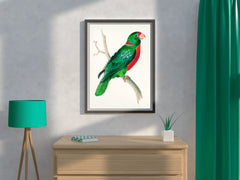 Watorcolor Painting of Green Parrot Wall Art