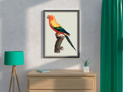 Painting of Sun Conure Parrot Wall Art