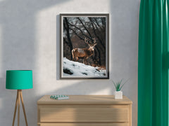 Bactrian Deer Animal Wall Art